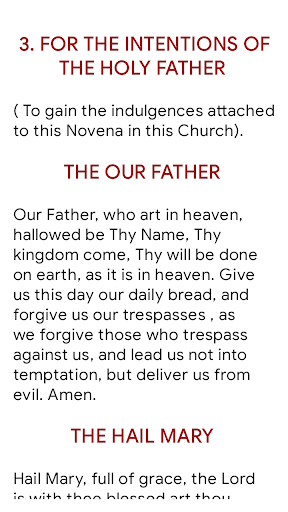 Novena for Mother of Perpetual Screen 3
