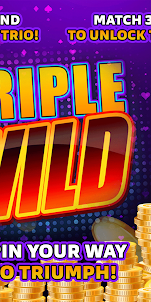 Triple Wild: Match 3D Triple