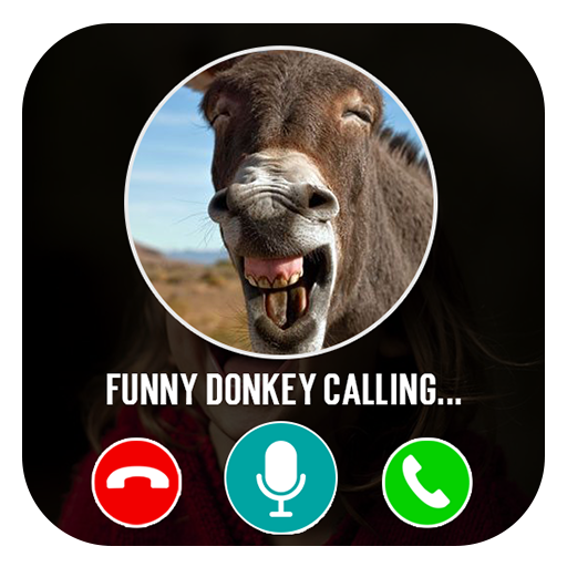 Donkey funny video call prank logo