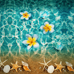 Cover Image of ดาวน์โหลด Frangipani Flower - Wallpaper  APK