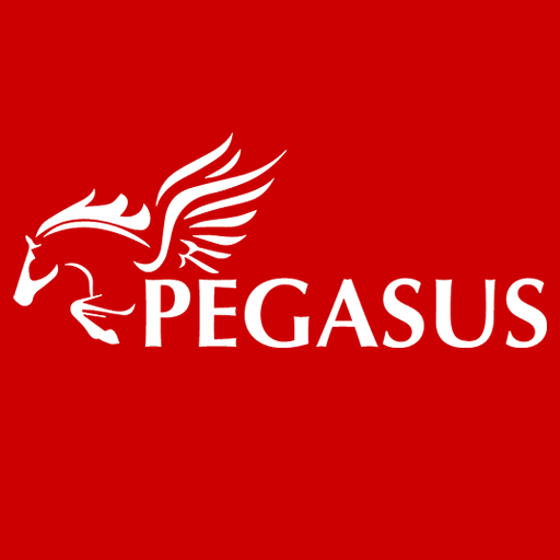 Pegasus Micro logo