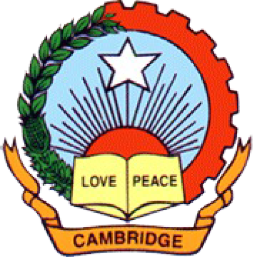 CambridgeInternationalSchool-S logo