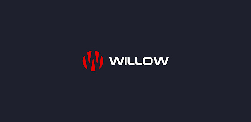 Willow