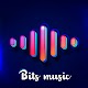 Bits Music™ : MV Master Video
