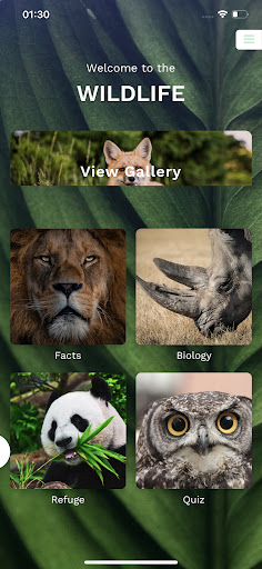 Android application Wild! screenshort