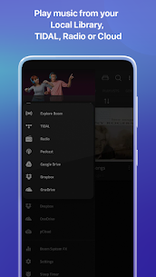 Boom Music Player Plus 5