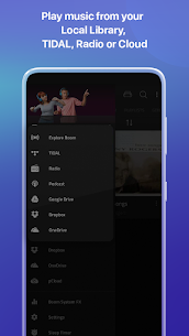 Boom: Bass Booster & Equalizer MOD APK 2.7.11 (Premium Unlocked) 5