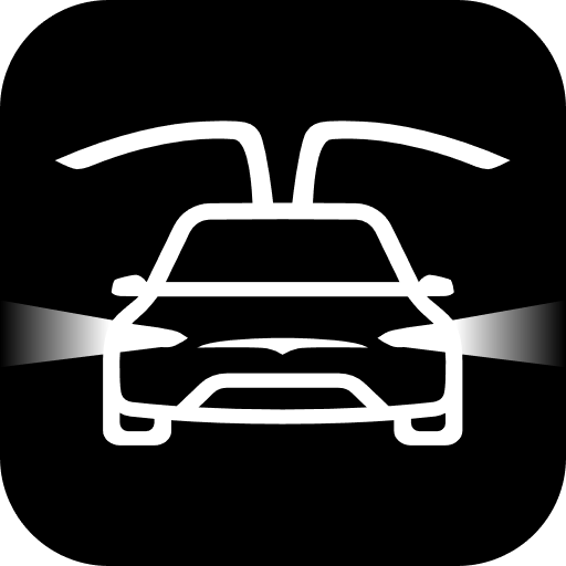 Light Show Creator for Tesla logo