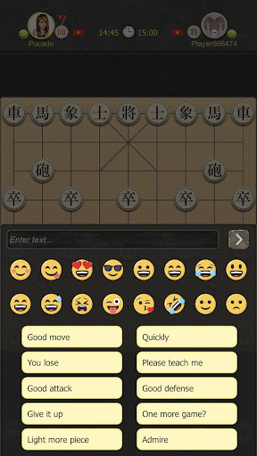 Co Up Online - Dark Chess Screen 2