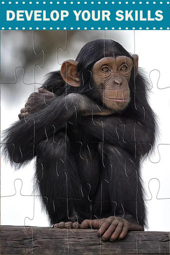 Wild Animals Jigsaw Puzzles Screen 3