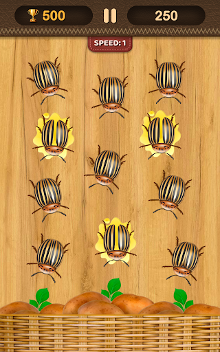 Beetles Smasher screenshot 13