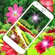 Garden Live Wallpaper Изтегляне на Windows