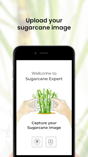 Sugarcane Expert Screen 2