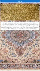 Unusual Carpets