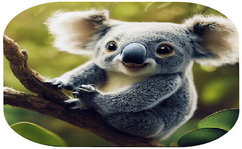 Cute Animals Wallpapers
