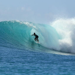图标图片“Surf Wallpapers”