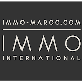 Immobilier International icon