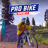 Pro Bike Riders 2 icon