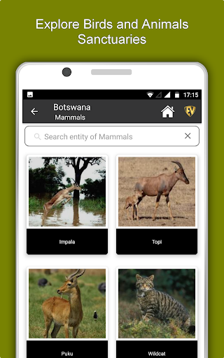 Botswana Travel and Explore Off