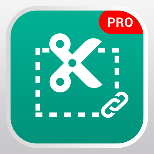 Snipping tool - Pro logo
