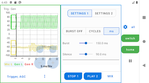 Car Audio Setup Screenshot