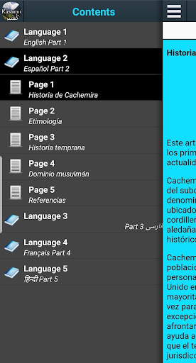 Vista previa de la aplicación