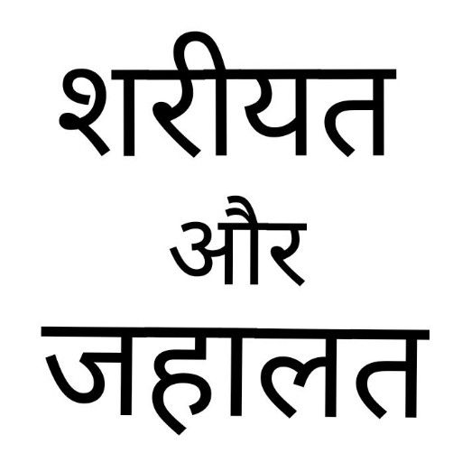 Islamic Books in Hindi offline logo