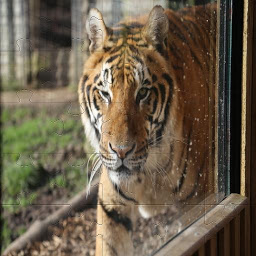 Icon image Beautiful Jigsaw Puzzle