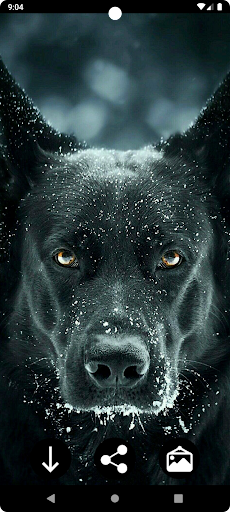 Dog Wallpapers Screen 2