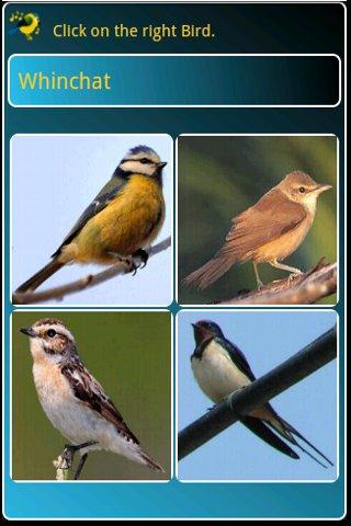 4 Songbird Quiz Games - 8.0.0 - (Android)