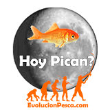 Hoy Pican icon