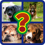 Guess Dogs Breeds Quiz icon