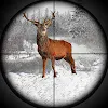 Animal Hunter Shooting Games icon