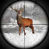 Animal Hunter Shooting Games icon