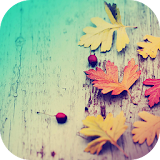 Autumn - Launcher Theme icon