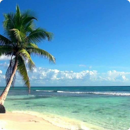 Beach Live Wallpaper HD