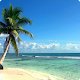 Beach Live Wallpaper HD Download on Windows