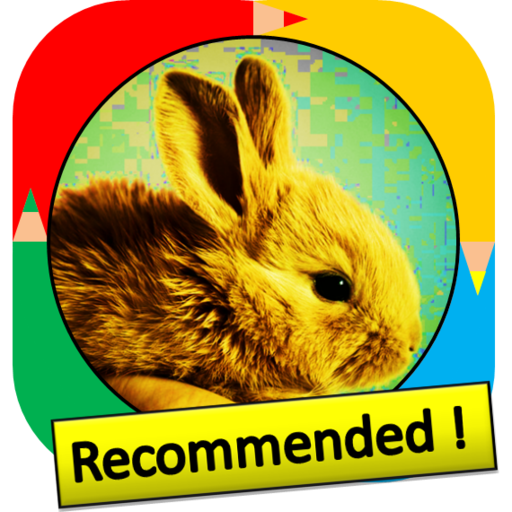 Color by Number - rabbit  Icon
