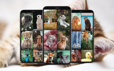 Screenshot 1 Fondos Animales Lindos android
