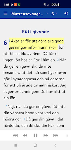 Swedish Bible (98 Version) Screen 2
