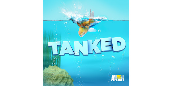 Tanked: Temporada 6 – TV no Google Play