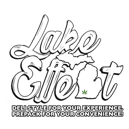 Lake Effect logo