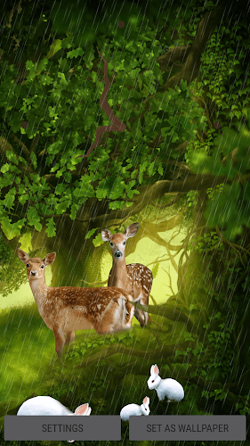 Forest Deer Live Wallpaper - Latest version for Android - Download APK