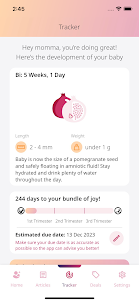 Mommy+ Pregnancy Tracker Dev