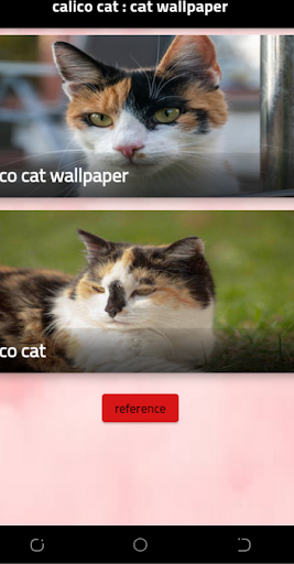calico cat : cat wallpaper Screen 3
