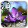 Nature Live ❁ Spring Flowers 3D Application icon