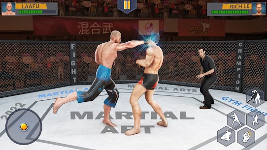 Martial Art Cage Battle King 2