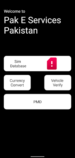 Pak E Services Pakistan