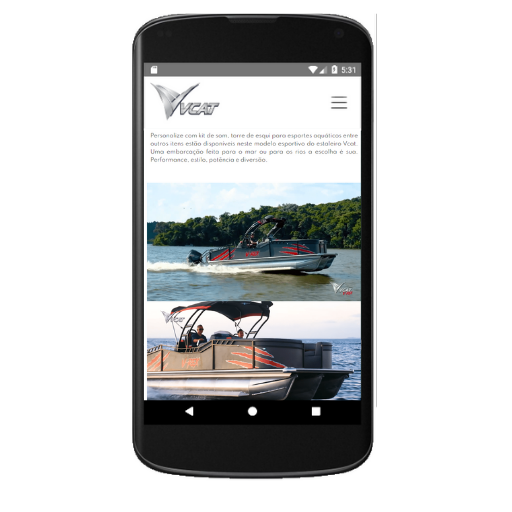 VCAT Screen 3