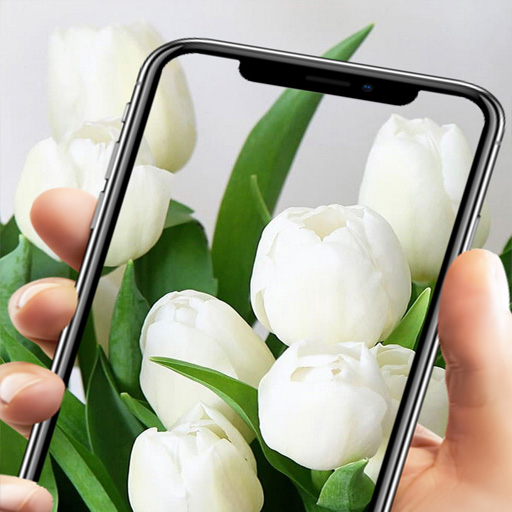 Wallpaper bunga tulip